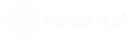 mindbridge